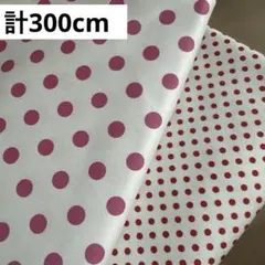 ドット柄 2枚セット生地 はぎれ