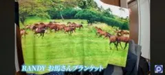 90s アメカジ アメリカン ラグマット 雑貨 カーペット アニマル　ポーカーズ 2026年最新】ポーカーズ ラグの人気アイテム - メルカリ