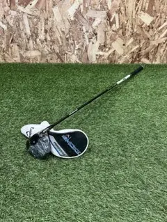 Item thumbnail for item 95284f9d-a384-4172-9a81-1179d5868650