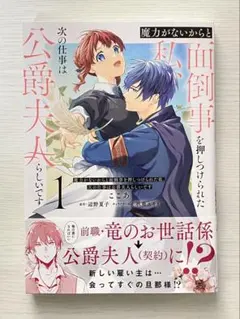 『Asami Matsuo様専用』魔力がないからと面倒事を押しつけられた私、次の