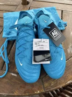 ソンメ様専用NIKE ナイキ ファントム GX2 エリート 29㎝