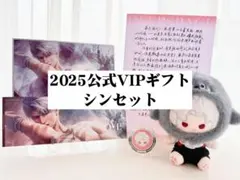 恋と深空 VIPシン ぬいぐるみ ギフトボックス 恋と深空vipギフトセイヤレイホムラシン