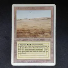 a*o様 【格安】Savannah 英語　サバンナ　デュアルランド 2026年最新】サバンナ mtgの人気アイテム - メルカリ