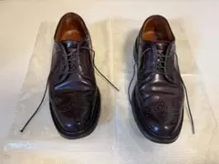 Alden オールデン 975 6Dのサムネイル