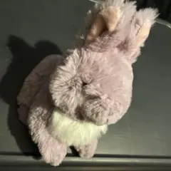 サンレモン　ラピヌ　ネザーランドドワーフ　うさぎ　ぬいぐるみ　パープルのサムネイル