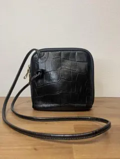 IL BISONTE クロスボディバッグ