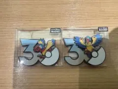 ポケモン 30周年 記念マグネット ヨーギラス バンギラス 2種セット 
