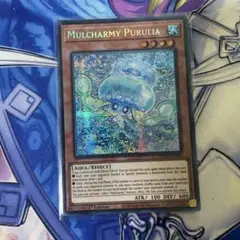 2026年最新】プルリア 英語の人気アイテム - メルカリ