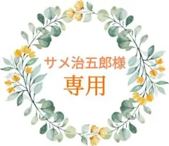 サメ治五郎様 リクエスト 2点 まとめ商品