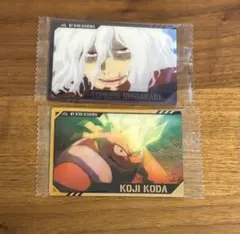 ヒロアカウエハース4