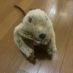 ALFA アルファ セイウチ ぬいぐるみ 大きめ - メルカリ