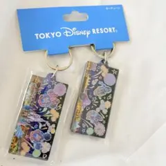 東京ディズニーリゾート アクリル キーチェーン イルミネーション 2個セット