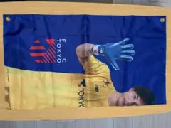 【41 野澤大志ブランドン】FC東京 フラッグ