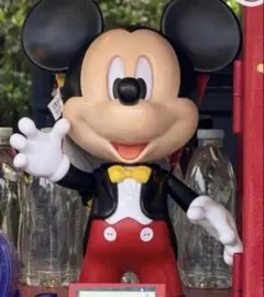 りな様専用 香港ディズニー限定　お喋りミッキー　ポップコーンバケット