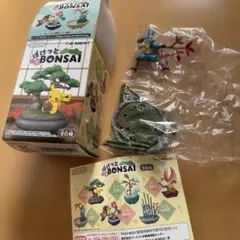 【未開封】ポケモン ぽけっとBONSAI ルカリオ