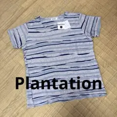 Plantation プランテーション　半袖カットソーのサムネイル