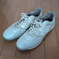 Item thumbnail for item 46c6437a-5748-4394-a232-f04d71c02bdf