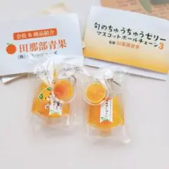 ちゅうちゅうゼリー 愛媛限定 みきゃん ガチャガチャ