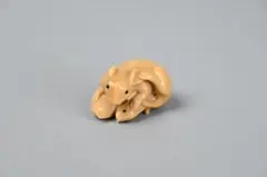 ♪残暑御見舞特別企画奉仕商品♪】富貴蘭 工藤羆（紺覆輪中透け本芸品