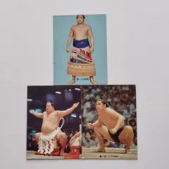 Item thumbnail for item be427253-5271-49f9-b9f7-621732ca1c8f