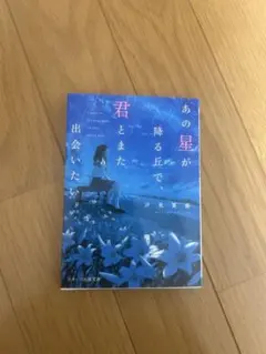 あの星が降る丘で、君とまた出会いたい。 汐見夏衛