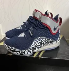 ナイキ バスケットボール レブロン 17 FP 