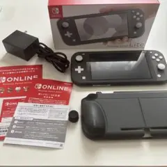 Nintendo Switch Lite グレー 本体 ケース、SD付き