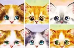 No.1103 ダイヤモンドアート モザイクアート キット 猫 6匹 可愛い 顔
