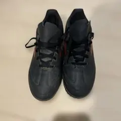 Item thumbnail for item 87665c67-b261-4d4b-a407-945299f395fa