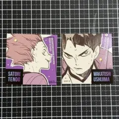 ハイキュー‼︎スクエアステッカー　牛島　天童