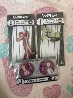 ハイキュー!! アクリルキーホルダー・缶バッジセット