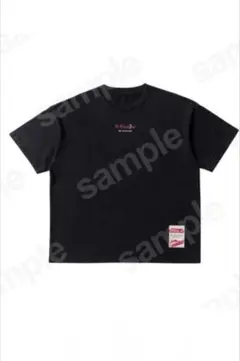 2026年最新】imp. departure tシャツの人気アイテム - メルカリ