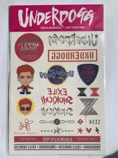 EXILEライブグッズ