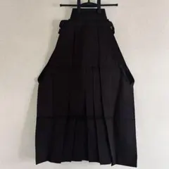 Item thumbnail for item e5b65527-e09c-4c67-8c9f-b0779a37b76d