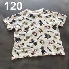 パウパトロール【120】半袖Tシャツ/チェイス、マーシャル、ラブル