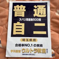 Item thumbnail for item ba1b1aed-6dae-4f39-b16c-2e6ac086f86a