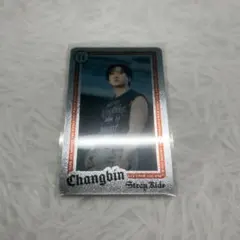 straykids チャンビン 事後通販 ライブフォトカード