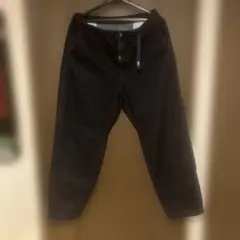 ノースフェイスパープルレーベル Denim Wide Tapered 34