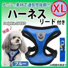 Item thumbnail for item e5bea3a1-a883-4bdf-9f04-0e0529f38829