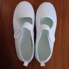 Item thumbnail for item 9d38e6d9-3735-4c01-b6fe-4d50bca9555c