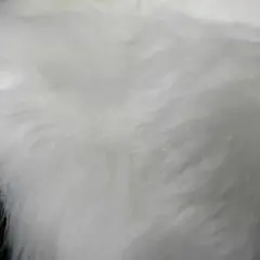 Item thumbnail for item 42d427b6-8a74-475f-a845-296ab7372c22