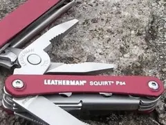 Item thumbnail for item a3cefa8a-3158-4fa8-bf24-8815364fff3c