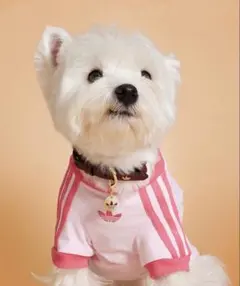 Adidas 犬用 Tシャツ ピンク Mサイズ