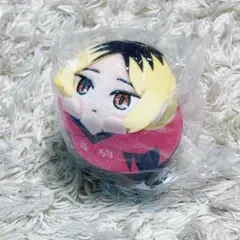 孤爪研磨　ハイキュー　極楽湯　のるキャラマスコット　ぬいぐるみ　お風呂ver