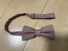 Item thumbnail for item 06d6a7bb-a30a-4501-b159-b498ba99bfb7