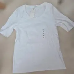 Item thumbnail for item f9e11805-dd17-4822-b7b0-3c1852a44675