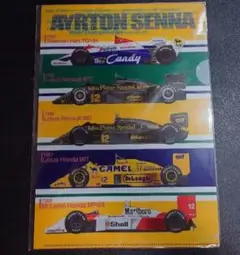f1グランプリスペシャル 2010 YEAR BOOK セナ 付録