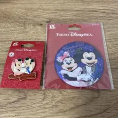 ディズニーシー　15周年　バレンタインナイト　缶バッジ　ピンバッジ