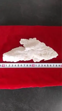 Item thumbnail for item ea7233e4-6146-4c7e-99ae-8de88516cb19