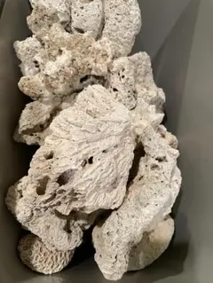 2026年最新】デスロックの人気アイテム - メルカリ